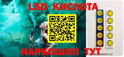 прущие грибы Вязники