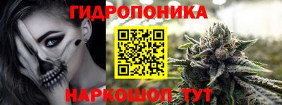 прущие грибы Вышний Волочёк