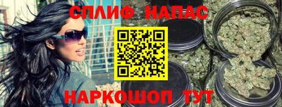 прущие грибы Вышний Волочёк