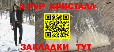 прущие грибы Вышний Волочёк