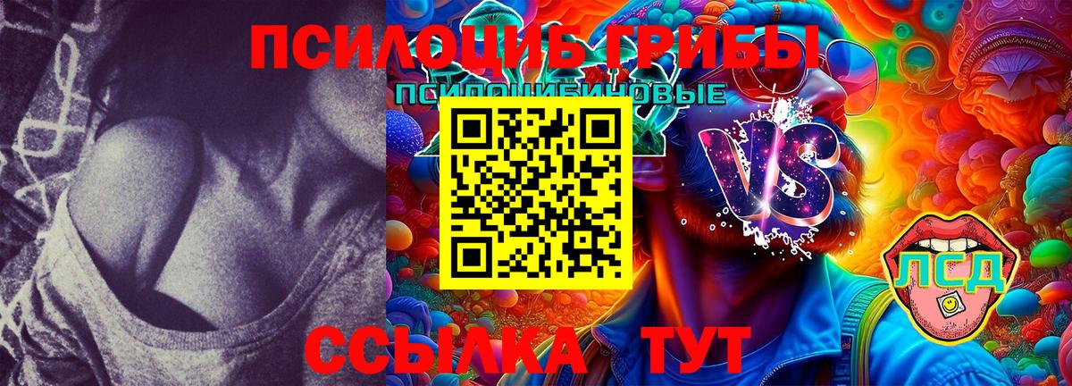Отрадное  Псилоцибиновые грибы MAGIC MUSHROOMS  Вход с VPN 